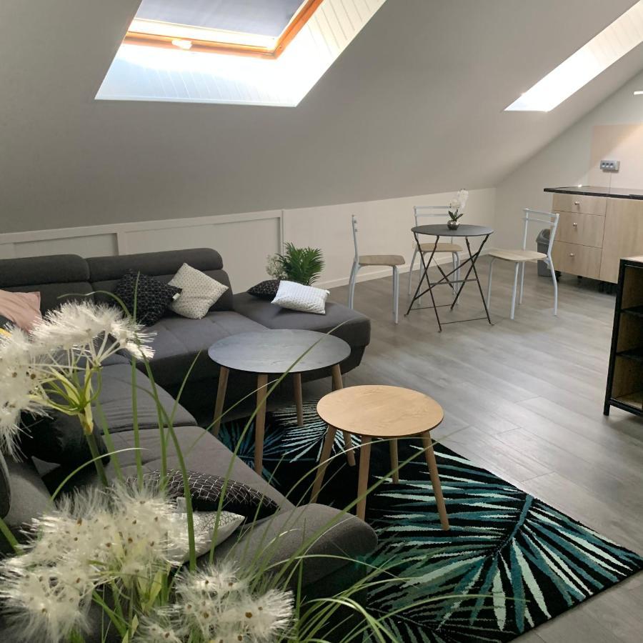 Appartement 4 Personnes Emplacement Ideal Proche Des 24H Et Gare 르망 외부 사진